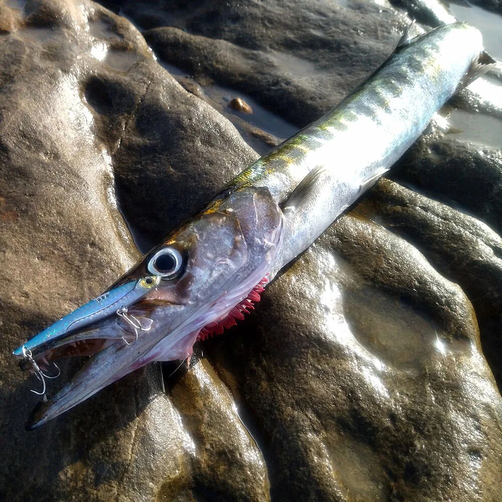 GOBAIT VIB Fishing Lure 20g 25 - Fishing Hook Treble reseña y precio