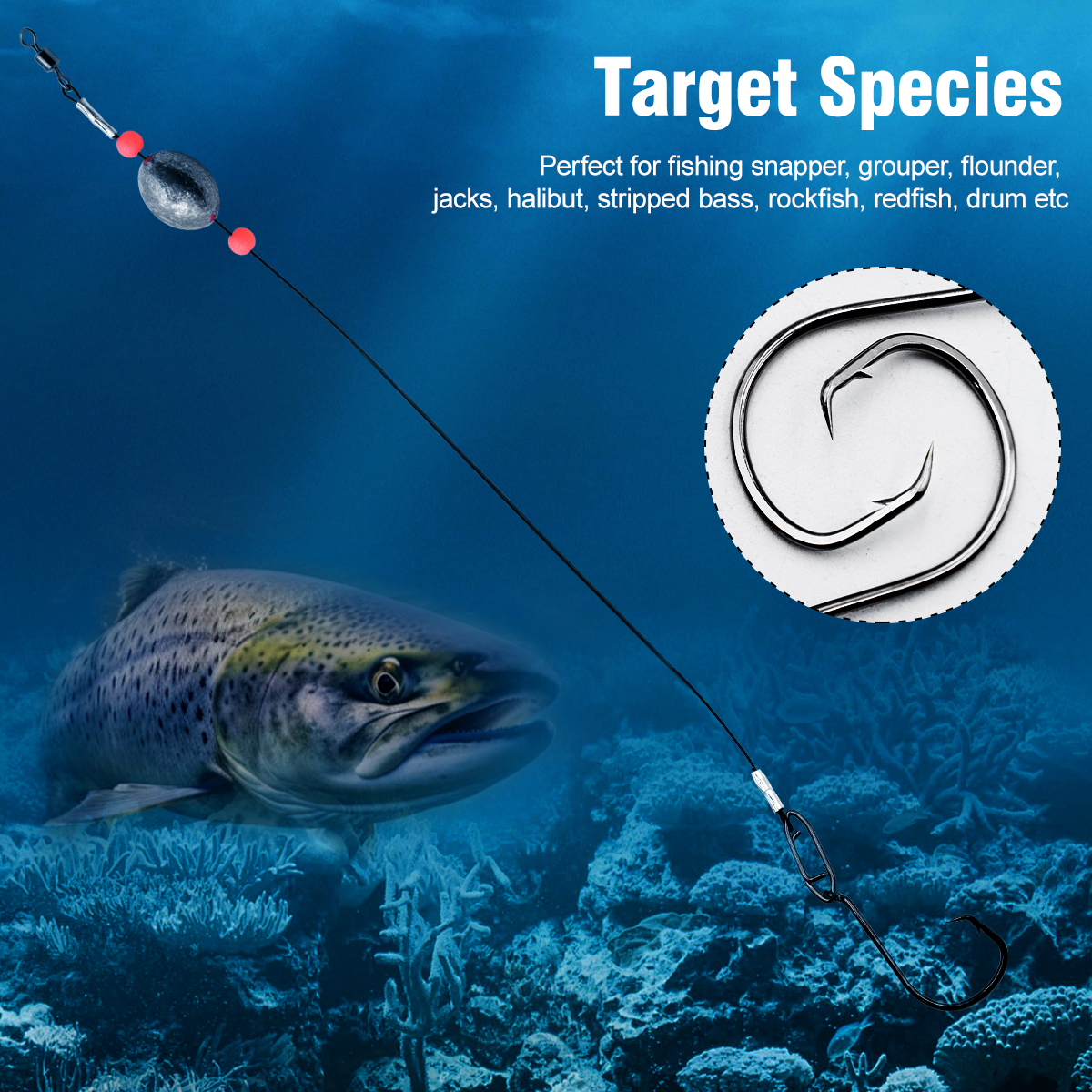 ZYZHE 2pcs Fishing Carolina Ri - Fishing Hook Circle reseña y precio