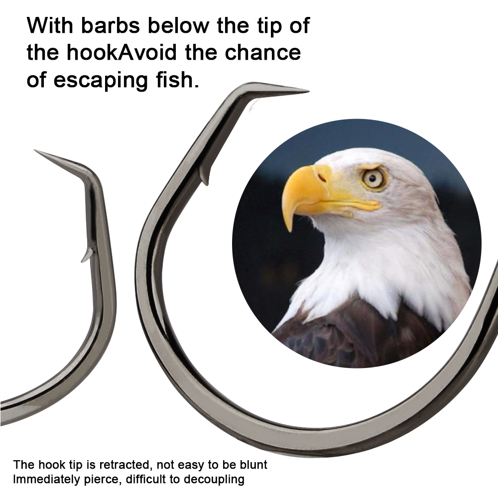 FTK Fishing Hooks Fishing Octo - Fishing Hook Circle reseña y precio