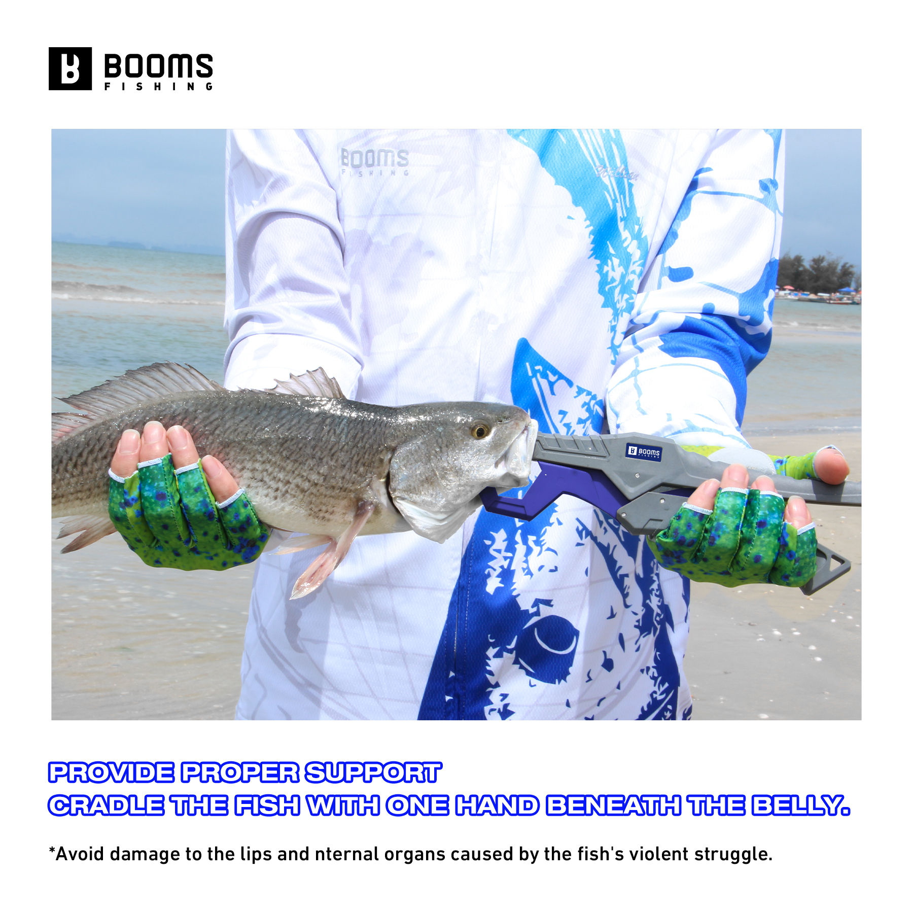 Booms Fishing 23cm Pliers and  - Fishing Hook Sharpener reseña y precio